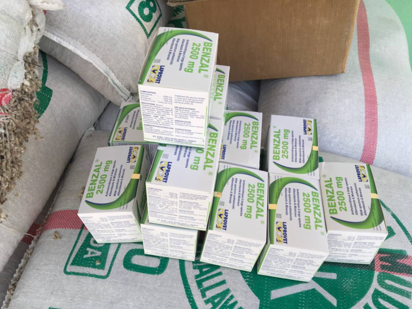 Tchad : le gouvernement lance une distribution d'aliments pour sauver le bétail Tchad : le gouvernement lance une distribution d'aliments pour sauver le bétail