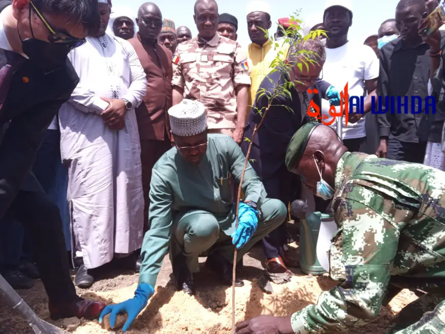 Tchad : Mahamat Ahmat Lazina lance les travaux de reboisement de la ceinture verte à Ndjamena