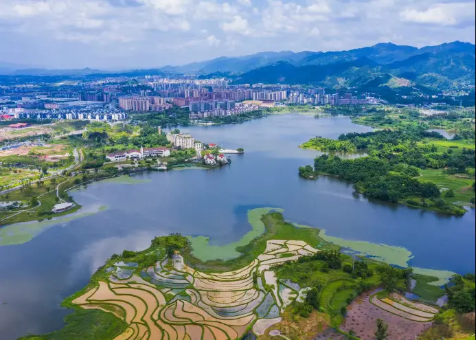 Photo taken on June 15, 2020 shows the picturesque Shuanggui Lake National Wetland Park in Liangping district, southwest China’s Chongqing municipality. The park injects new impetus into the city’s green development. (Photo by Gao Xiaohua/People’s Daily Online)