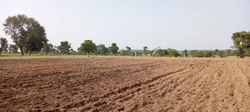 Tchad : un homme de 90 ans assassiné au Mayo Kebbi Ouest, 6 millions Fcfa emportés Tchad : un homme de 90 ans assassiné au Mayo Kebbi Ouest, 6 millions Fcfa emportés