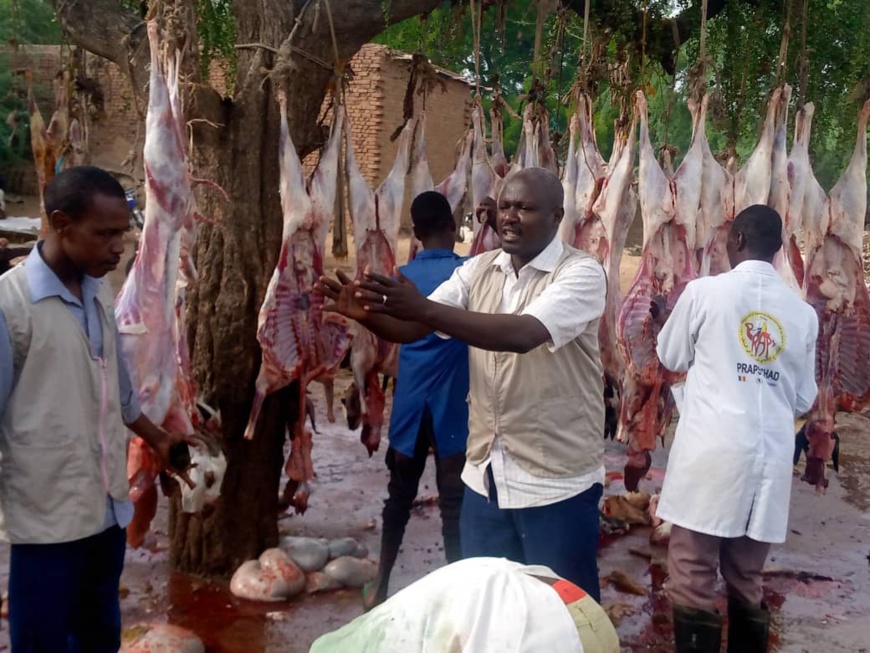 Tchad : les commerçants d'Ati s'approprient les bonnes pratiques d'hygiène alimentaire Tchad : les commerçants d'Ati s'approprient les bonnes pratiques d'hygiène alimentaire