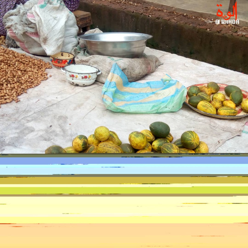 Tchad : "même le concombre est importé d’Ukraine" Tchad : "même le concombre est importé d’Ukraine"