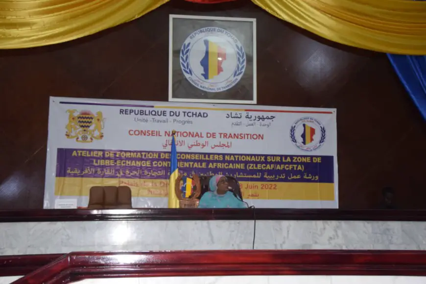 Tchad : les conseillers nationaux s'imprègnent des fondamentaux de la ZLECAF