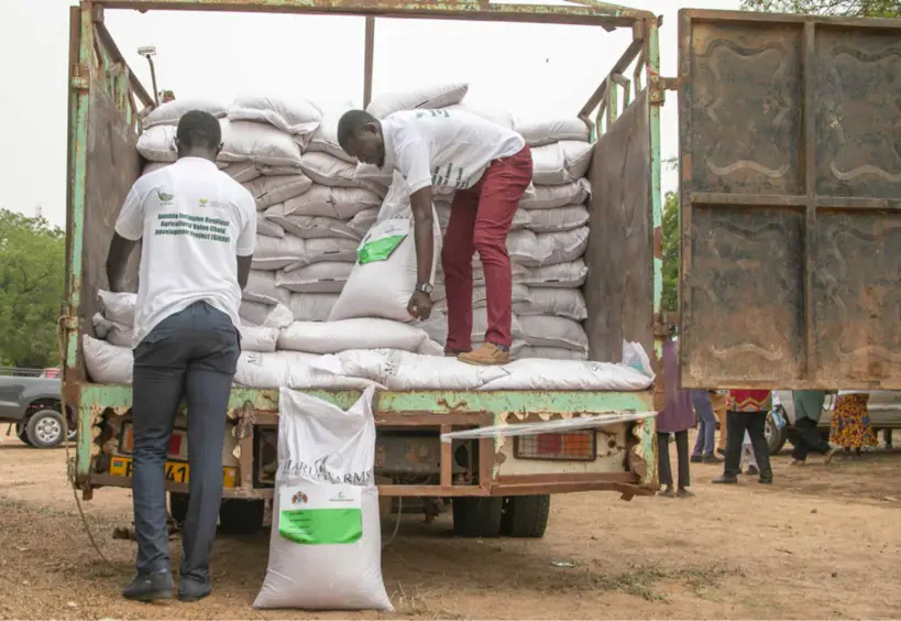 Gambie : 12.500 agriculteurs recevront des semences certifiées qui renforceront leur résilience