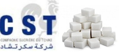 Tchad : Le gouvernement prend des mesures pour remettre sur pied la CST Tchad : Le gouvernement prend des mesures pour remettre sur pied la CST