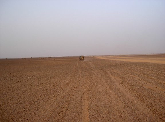 Sale temps pour le polisario et sa marraine Sale temps pour le polisario et sa marraine