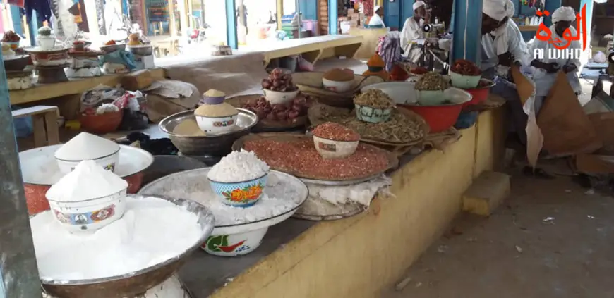 Tchad : la BAD accorde un don de 4 millions de dollars contre l'insécurité alimentaire