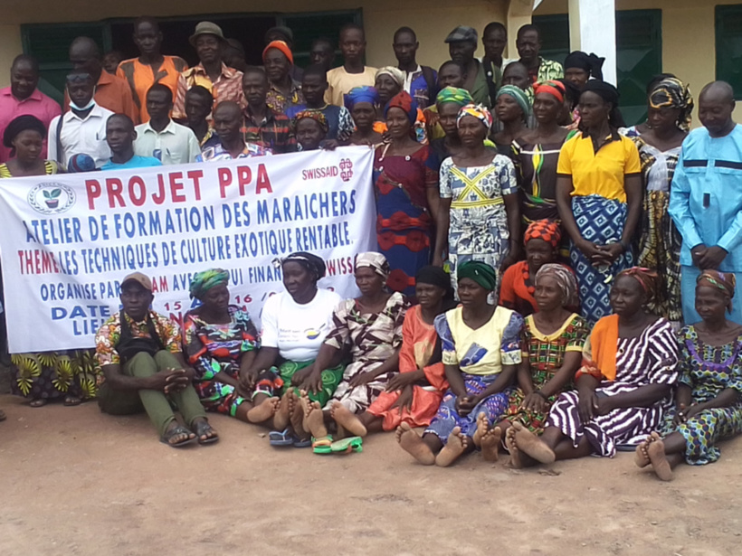 Tchad : les groupements agricoles de la Nya découvrent les cultures exotiques rentables Tchad : les groupements agricoles de la Nya découvrent les cultures exotiques rentables