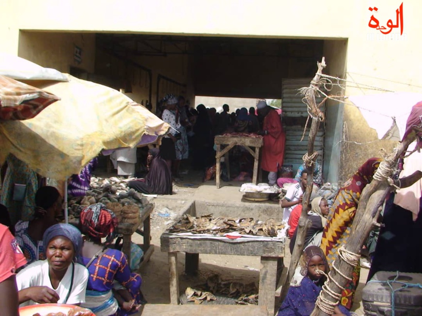 "Le Tchad ne peut pas s'en sortir seul" (HCR)