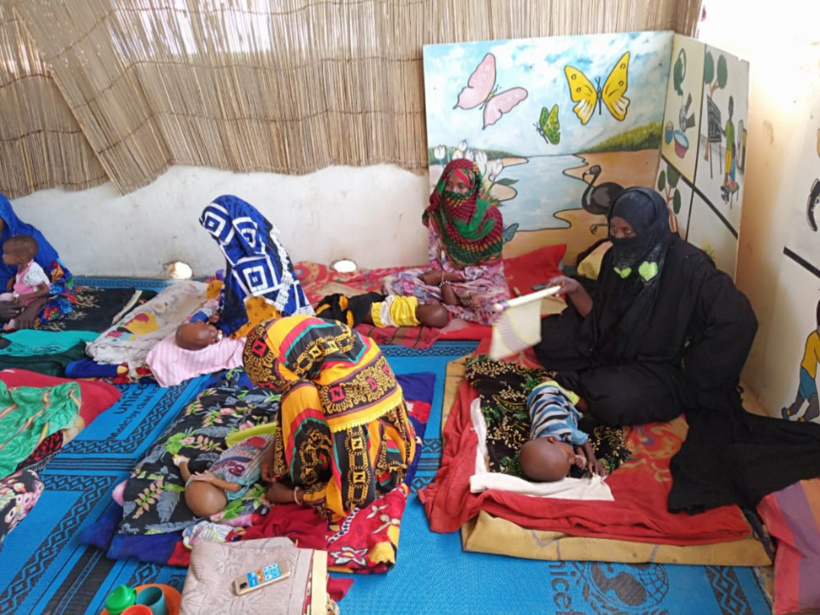 Des enfants atteints de malnutrition au Kanem. © Djidda Mahamat Oumar/Alwihda Info