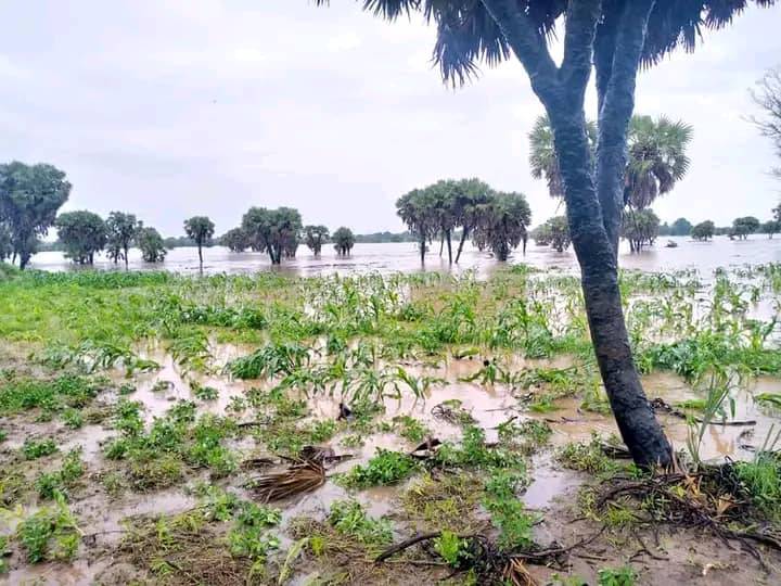 Tchad : importantes inondations dans la sous-préfecture de Lamé