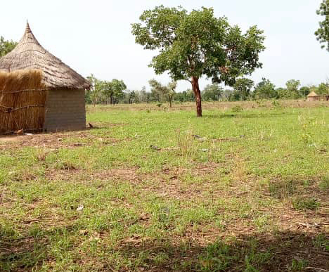 Tchad : 3 enfants calcinés dans une case à Pala-Koro par Pala