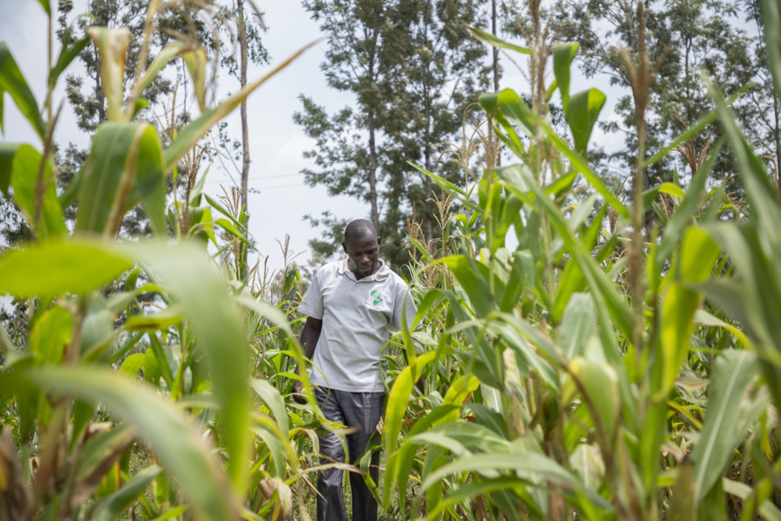 Afrique : plus d’un milliard $ de la BAD pour lancer un plan de production alimentaire d'urgence