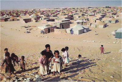 Coup de tonnerre dans les camps de la honte à Tindouf Coup de tonnerre dans les camps de la honte à Tindouf