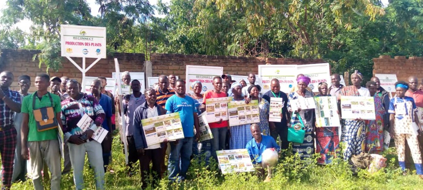 Tchad : le projet RECONNECT octroie des financements à des groupements au Mayo Kebbi Ouest Tchad : le projet RECONNECT octroie des financements à des groupements au Mayo Kebbi Ouest