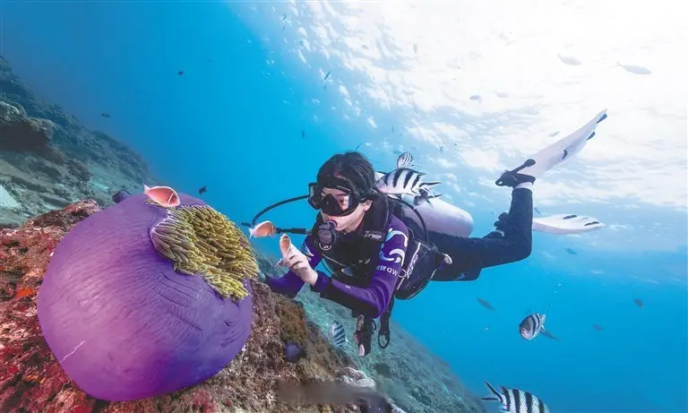 The underwater "afforestation" relies on technological progress. There are large areas of coral reefs under the sea waters around Hainan province, which makes the province a major planter of corals. Coral reef restoration technologies have been constantly improved during the coral planting practice in the province.