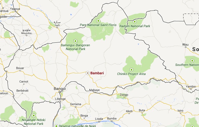 Nord-RCA : "Nous avons mis en place une structure pour contrôler la zone, pour éviter l'anarchie" Nord-RCA : "Nous avons mis en place une structure pour contrôler la zone, pour éviter l'anarchie"