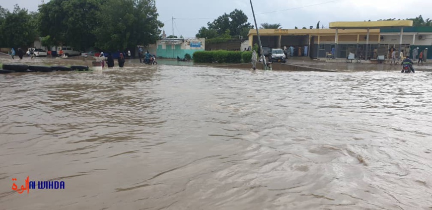 Tchad : comment sortir la capitale N’Djamena de l’eau ?