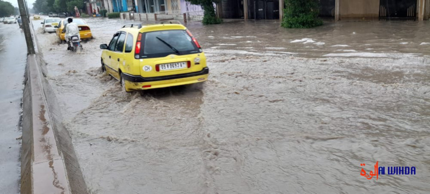 Tchad : les autorités invoquent le "dérèglement climatique" face aux inondations Tchad : les autorités invoquent le "dérèglement climatique" face aux inondations
