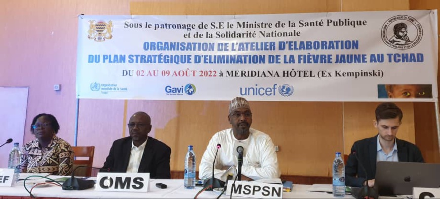 Tchad : élaboration de la stratégie d'élimination de la fièvre jaune Tchad : élaboration de la stratégie d'élimination de la fièvre jaune