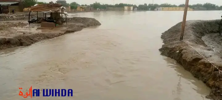 Inondations au Tchad : "un phénomène mondial", réagit le PCMT