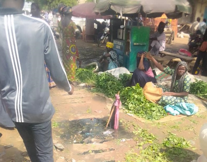 Tchad : des légumes vendus dans l’insalubrité, la population exposée aux maladies