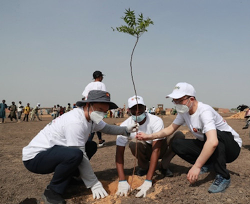 Participation de la CNPCIC à la plantation des arbres à N’Djamena, au creusement des puits d’eau pour les communautés pétrolières, à la construction des hôpitaux et des marchés. © CNPCIC