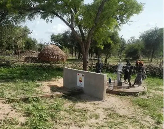 Participation de la CNPCIC à la plantation des arbres à N’Djamena, au creusement des puits d’eau pour les communautés pétrolières, à la construction des hôpitaux et des marchés. © CNPCIC