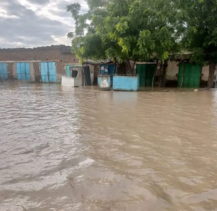 Tchad : au Sila, des sinistrés à la recherche d'un nouveau refuge après les inondations
