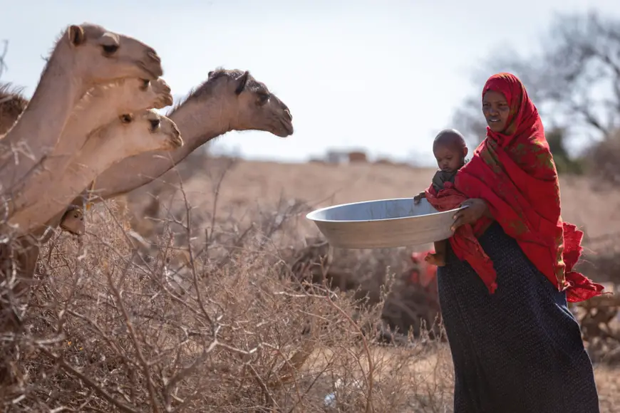 Une mère a peur de perdre davantage de bétail dans les mois à venir à cause de la sécheresse dans la région Somali, en Ethiopie. © UNICEF/Mulugaeta Ayene