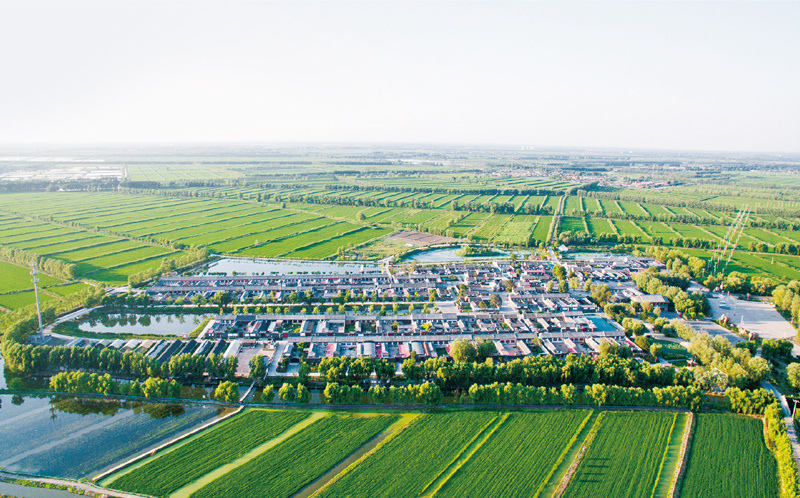 Photo shows Xiaoxinmatou village, Huangzhuang township, Baodi district, north China's Tianjin municipality. (Photo courtesy of the publicity department of the Communist Party of China Baodi district committee)