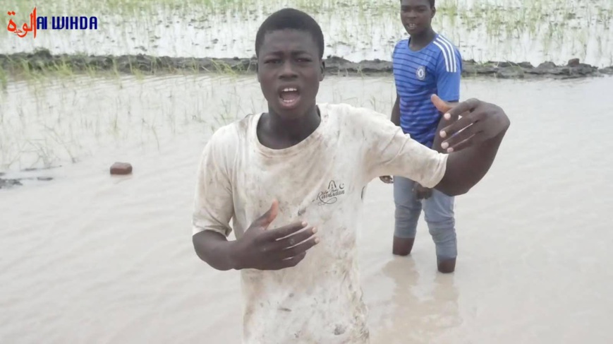 Tchad : des assoiffés du pouvoir se réunissent pour faire la paix, le peuple crie famine Tchad : des assoiffés du pouvoir se réunissent pour faire la paix, le peuple crie famine