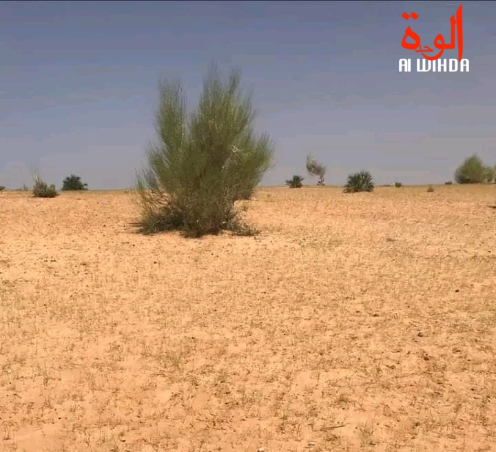 Tchad : décès d'un homme dans l'effondrement d'une maison près de Mao