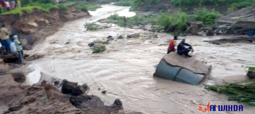 Des inondations à Pala, au Mayo Kebbi Ouest. © DR