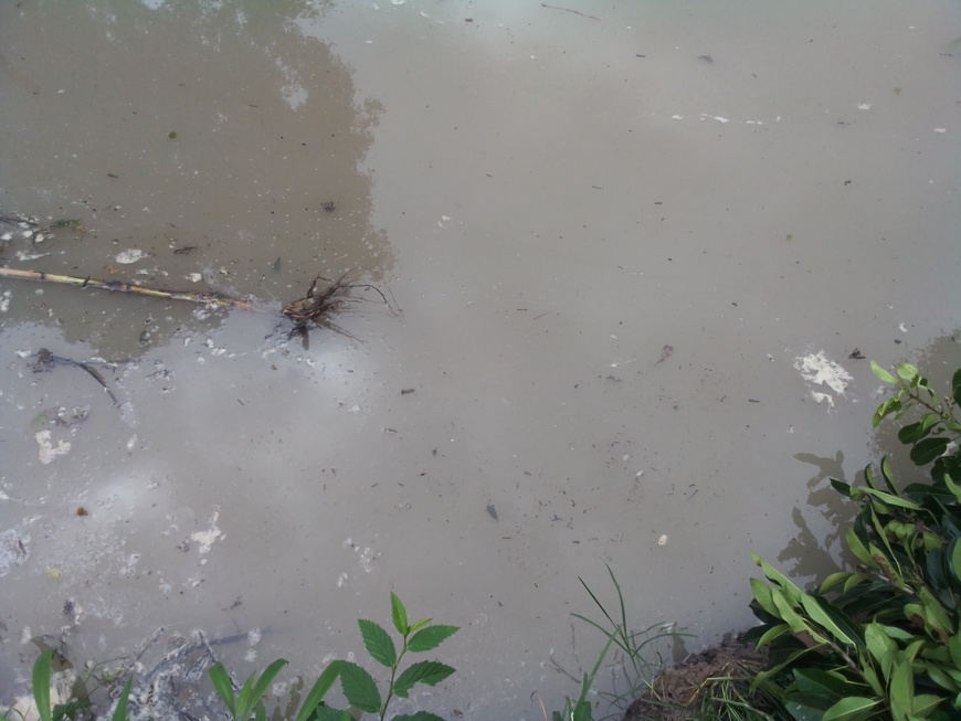 Tchad : les inondations font des dégâts dans la ville de Bébédjia