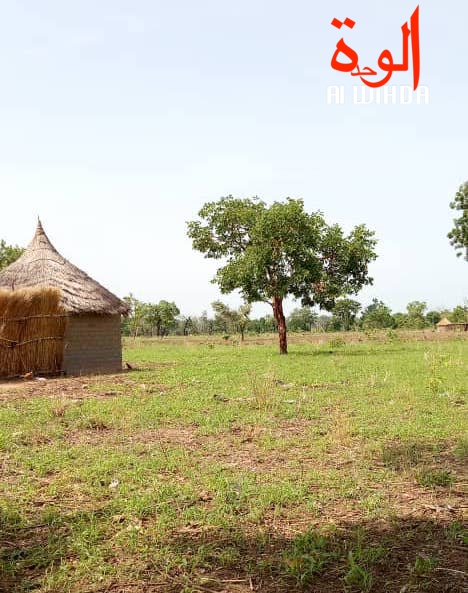 Tchad : des fraudeurs poignardent un douanier et en molestent deux autres à Zalbi