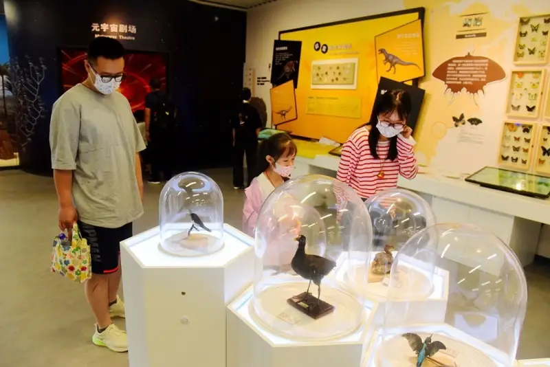 Parents take their child to a "24-hour" exhibition held at Zhejiang Museum of Natural History. The exhibition started in June 2022 and displayed over 300 exhibits. (Photo by Lian Guoqing/People's Daily Online)