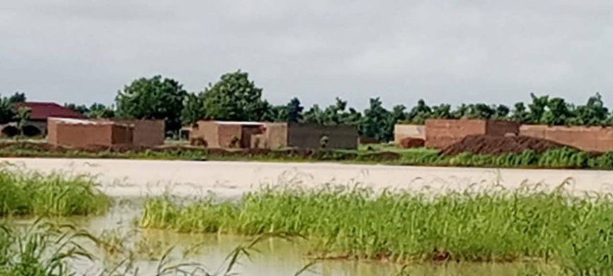 Tchad : les eaux pluviales ne sont pas une menace mais une opportunité Tchad : les eaux pluviales ne sont pas une menace mais une opportunité