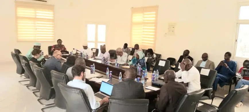 Tchad : la ministre Alixe Naïmbaye tient une réunion d'urgence face aux inondations