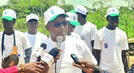 Tchad : le département du Chari promeut l'agroécologie et valorise la filière moringa Tchad : le département du Chari promeut l'agroécologie et valorise la filière moringa