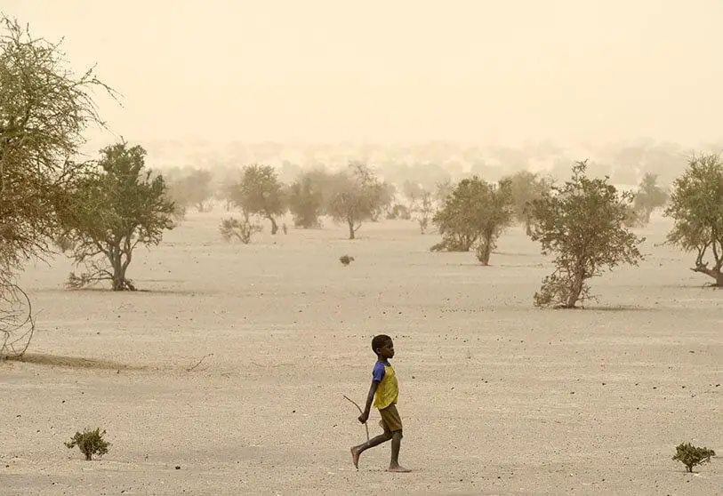 Sahel : accélérer la croissance et prioriser l’adaptation climatique (Banque mondiale)