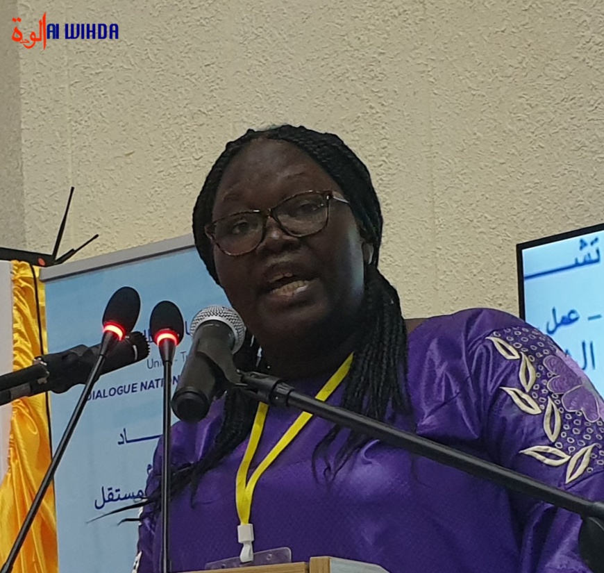 Dialogue au Tchad : quelles sont les modifications proposées pour la Charte de transition ?