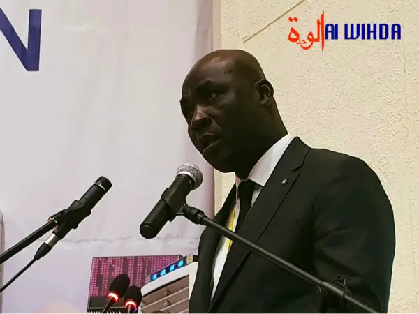 Le contexte du Tchad "ne peut être assimilé à un coup d’Etat", conclut une commission
