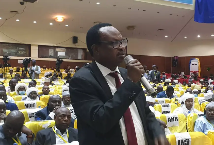 Tchad : la plénière interpelle le gouvernement sur le "massacre à grande échelle" au Guera