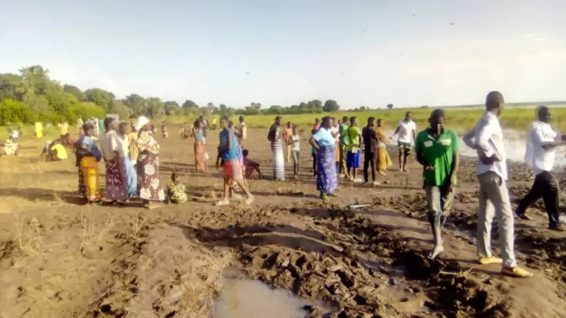 Tchad : un hippopotame retrouvé mort à Moundou, la population s'est ruée sur le cadavre