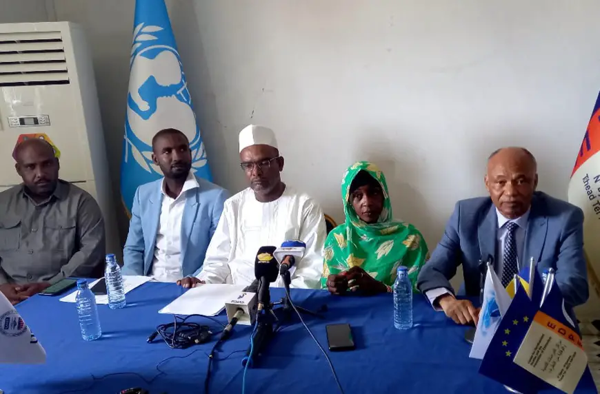 Tchad : la recrudescence des conflits préoccupe le CEDPE et des organisations