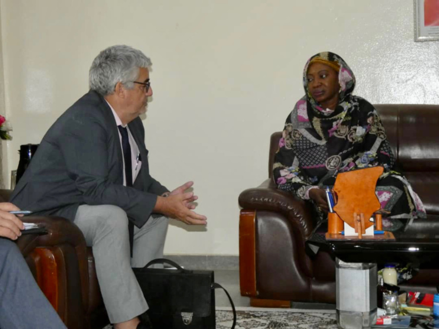 Tchad : l'emploi durable des jeunes au menu d'un échange Tchad : l'emploi durable des jeunes au menu d'un échange