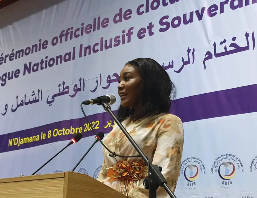 Tchad : la plénière du DNIS met en garde contre "la prise du pouvoir et la conservation par la force"