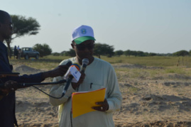 Tchad : l'Agence de la grande muraille verte lance la campagne de reboisement au Lac Tchad : l'Agence de la grande muraille verte lance la campagne de reboisement au Lac