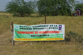 Tchad : l'Agence de la grande muraille verte lance la campagne de reboisement au Lac Tchad : l'Agence de la grande muraille verte lance la campagne de reboisement au Lac